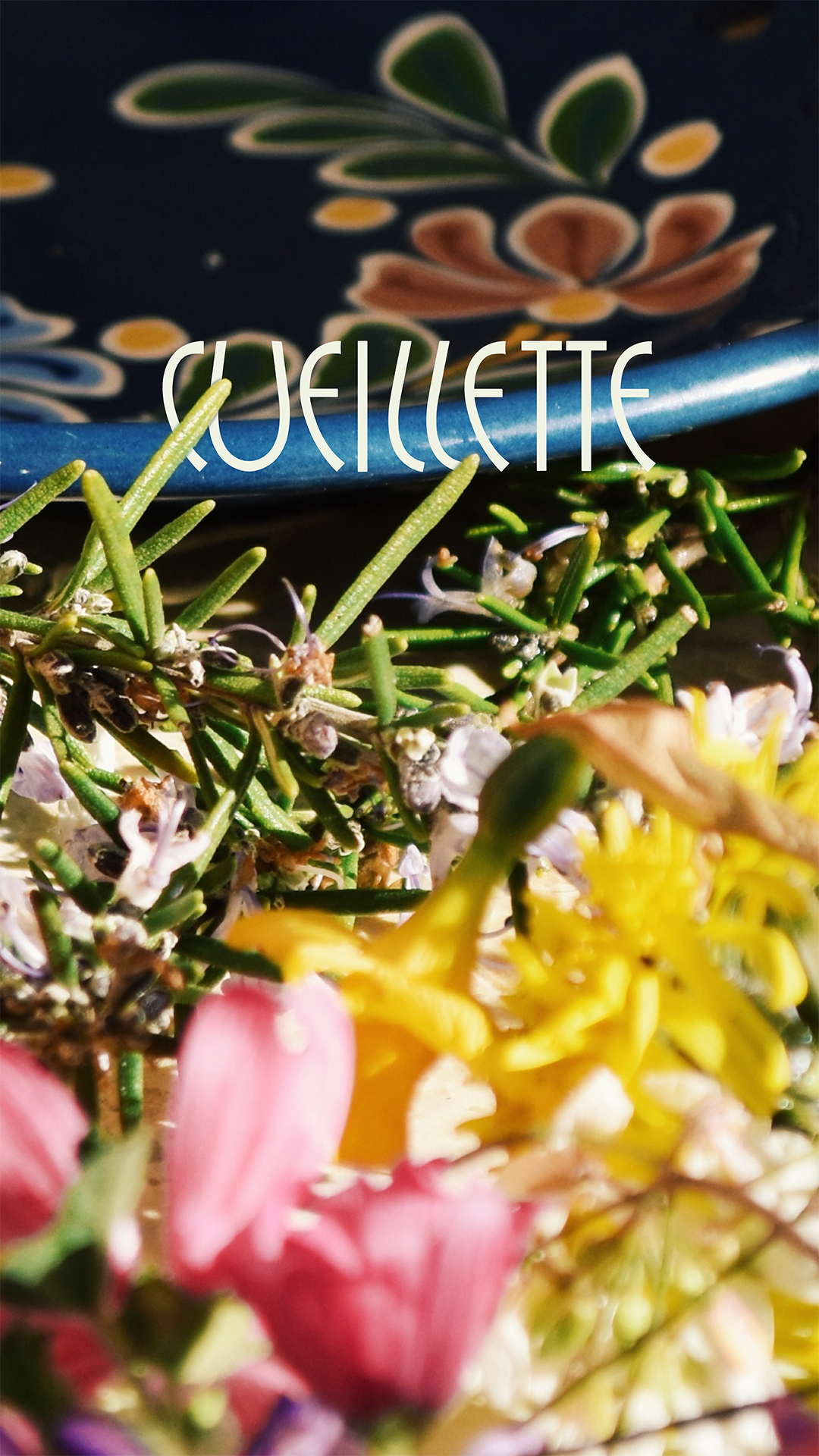 Visuel naturel et poétique de romarin et fleurs, accompagnant le projet 'Cueillette' de Lisa Wagelmans, graphiste et directrice artistique.
