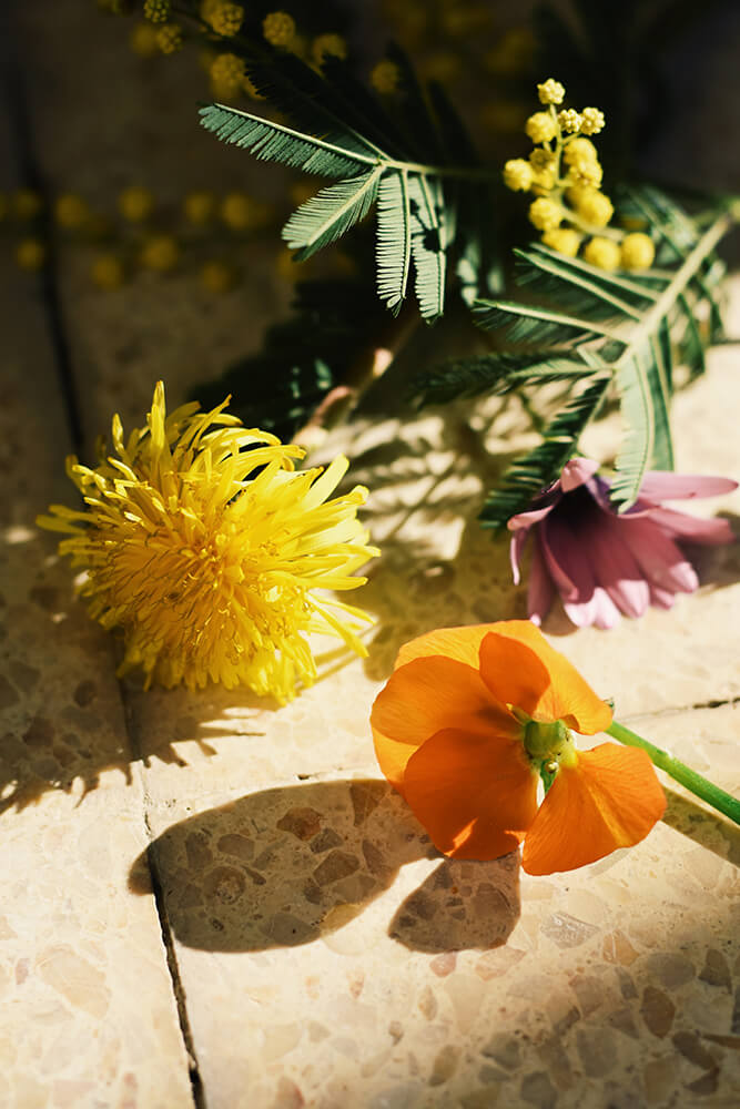These visuals reflect the essence of our project: poetry, gestures, and a connection to nature. Despite the challenge of finding colorful flowers in February, we brought warmth and vibrancy to our pictures.