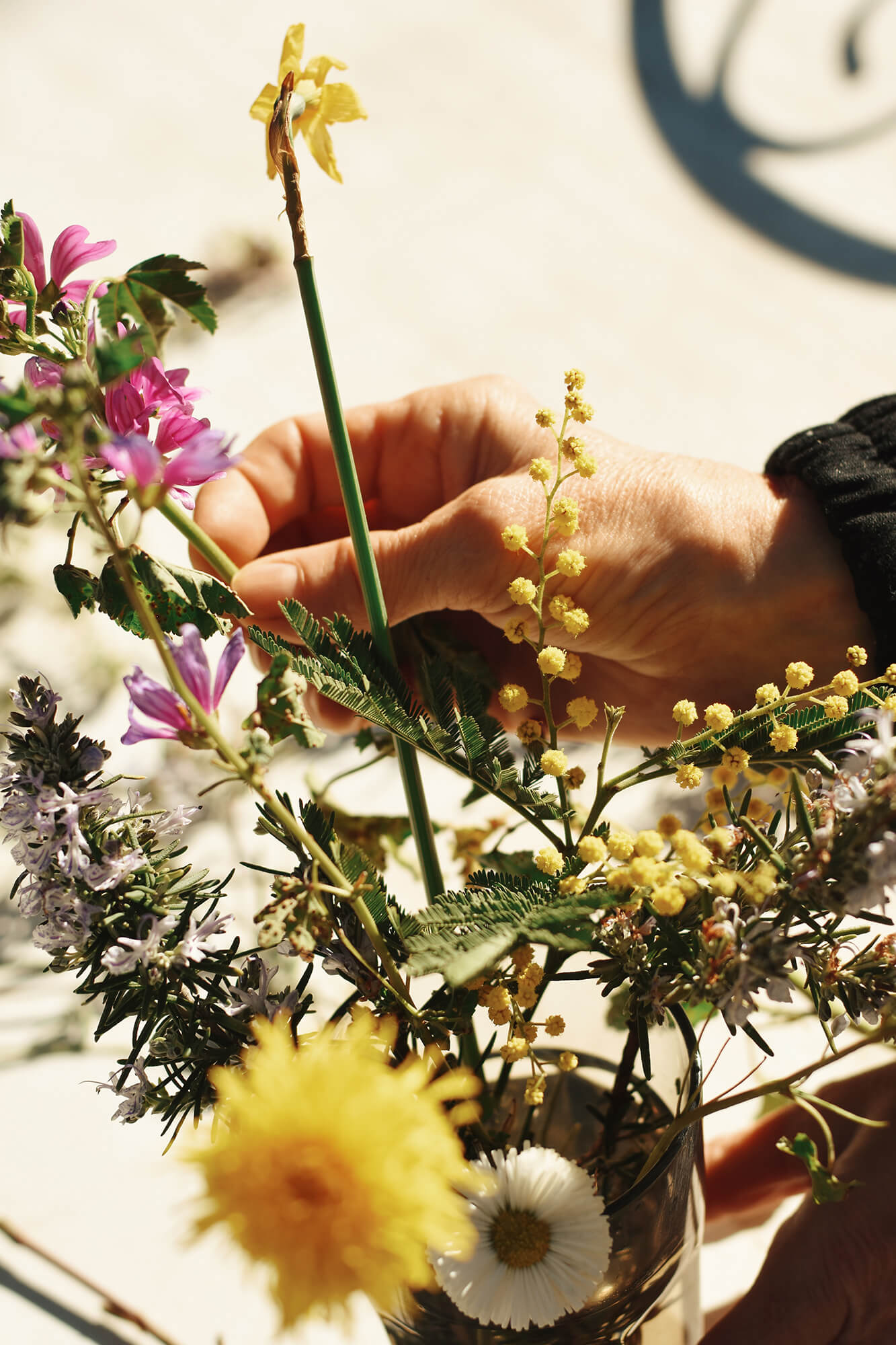 These visuals reflect the essence of our project: poetry, gestures, and a connection to nature. Despite the challenge of finding colorful flowers in February, we brought warmth and vibrancy to our pictures.